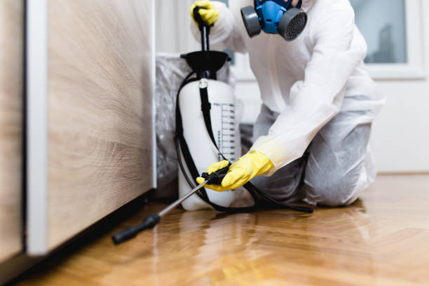 Best Mosquito Control Services  in Childersburg, AL