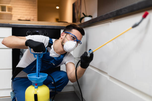 Wasp Removal Services in Childersburg, AL