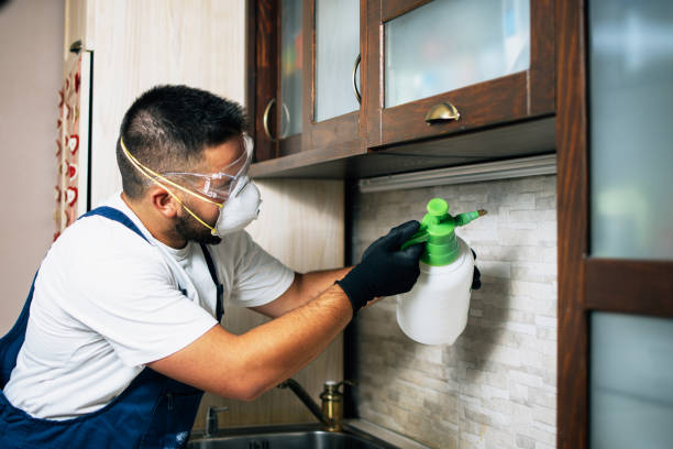 Best Bed Bug Extermination  in Childersburg, AL