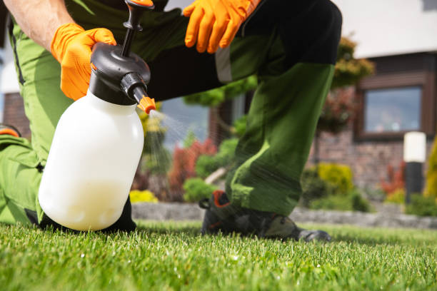 Best Pest Inspection Near Me  in Childersburg, AL