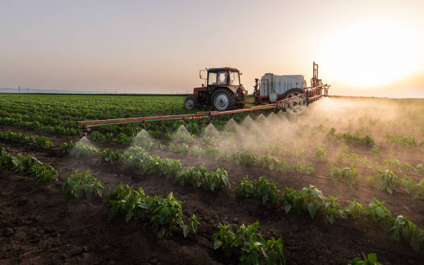 Best Ant Control Services  in Childersburg, AL