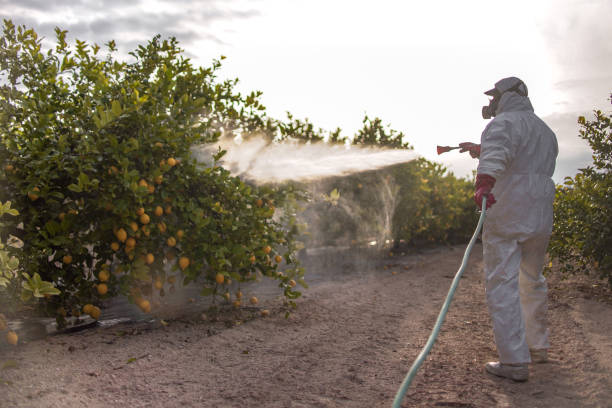 Best Residential Pest Control  in Childersburg, AL