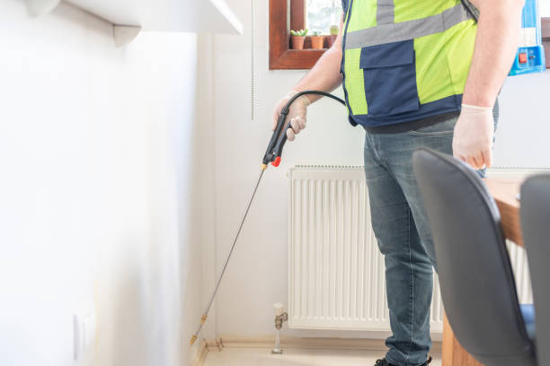 Best Wasp Removal Services  in Childersburg, AL