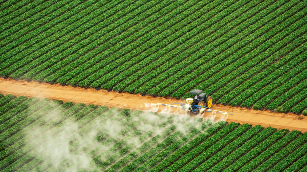 Best Commercial Pest Control Services  in Childersburg, AL