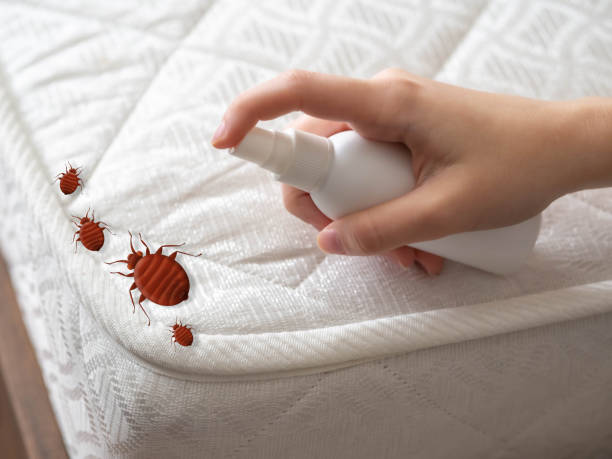 Childersburg, AL Pest Control Company