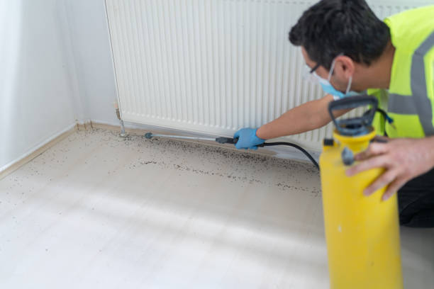 Pest Prevention Services in Childersburg, AL