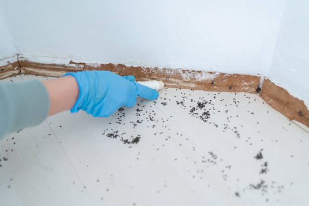 Best Pest Prevention Services  in Childersburg, AL