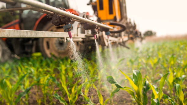 Best Pest Removal Services  in Childersburg, AL