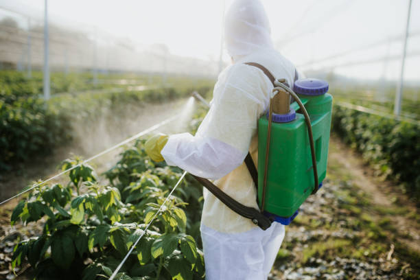 Best Emergency Pest Control  in Childersburg, AL